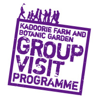 Group Visit Programme